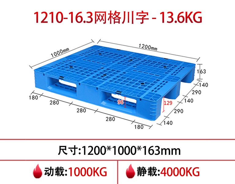 真人游戏第一品牌
1210网格川字ag真人游戏
16.3cm